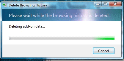 Deleting Browsing History